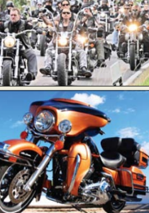 दाेषच बनवले गुण!